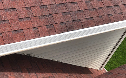 Professionally installed gutter guards